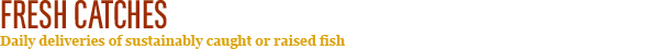 FF_menu_freshcatches