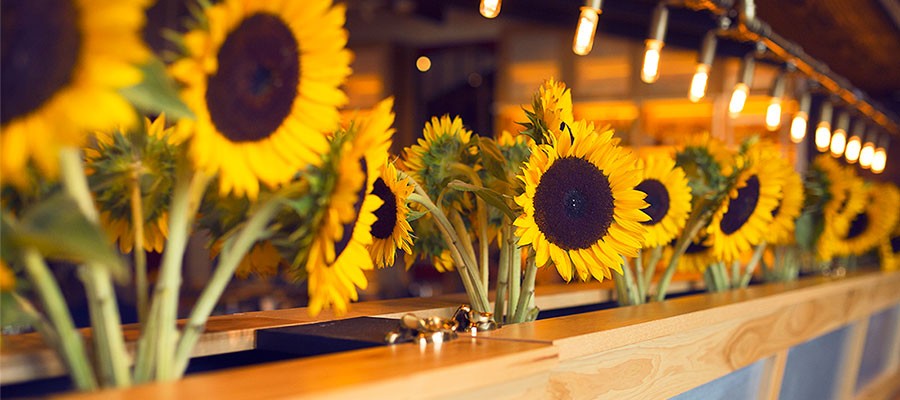 Celebrating National Honey Bee Day at Founding Farmers Tysons