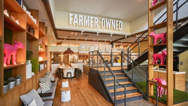 First Bake Cafe & Creamery King of Prussia